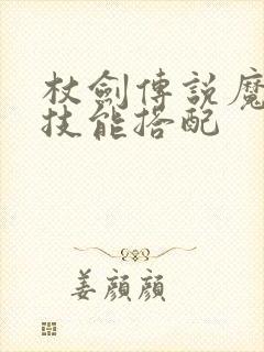 杖剑传说魔导师技能搭配