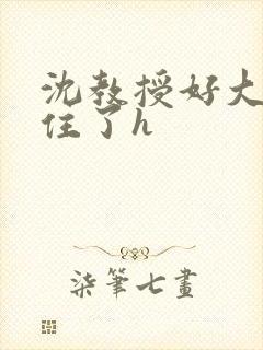 沈教授好大含不住了h