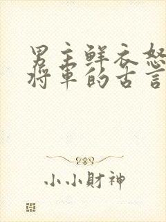 男主鲜衣怒马小将军的古言