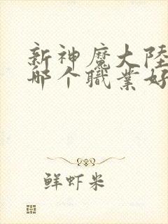 新神魔大陆手游哪个职业好玩