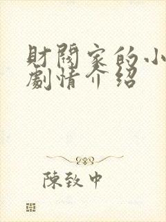 财阀家的小儿子剧情介绍