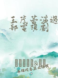 王茂蕾演过的全部电视剧