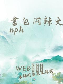 书包网辣文古代nph
