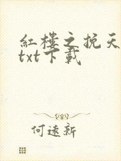 红楼之挽天倾 txt下载