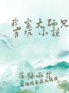 我家大师兄脑子有坑 小说