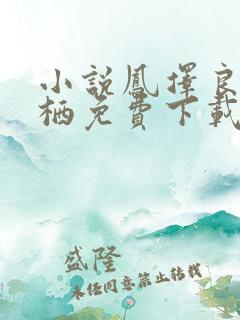 小说凤择良木而栖免费下载