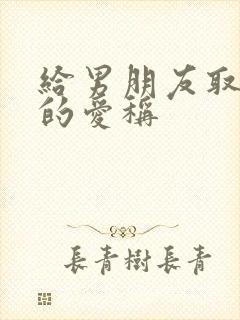 给男朋友取个污的爱称