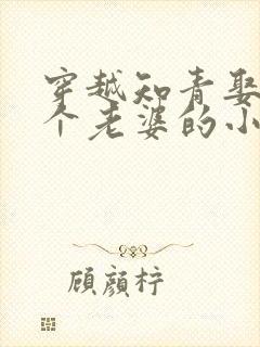 穿越知青娶了三个老婆的小说