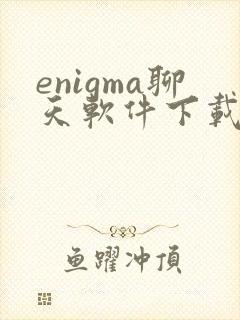 enigma聊天软件下载安卓版