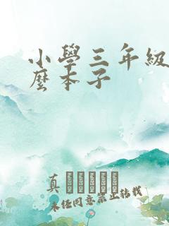 小学三年级用什么本子