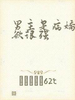 男主是病娇占有欲很强