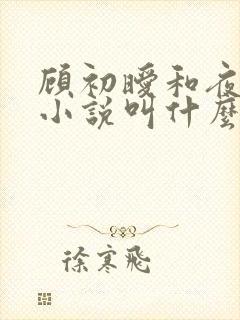 顾初暧和夜景寒小说叫什么