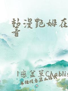 动漫艳姆在线观看