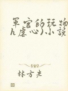 军官的玩物(高h虐心)小说