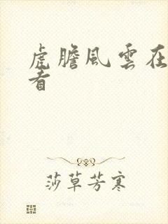 虎胆风云在线观看