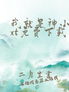 我就是神小说txt免费下载