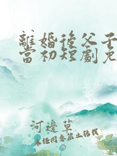 离婚后父子悔不当初短剧免费全集