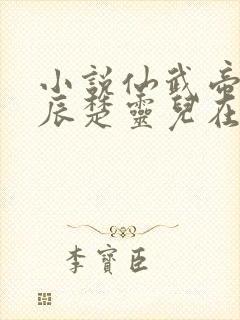 小说仙武帝尊叶辰楚灵儿在那里更新