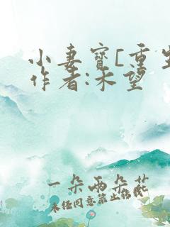 小妻宝[重生]作者:禾望