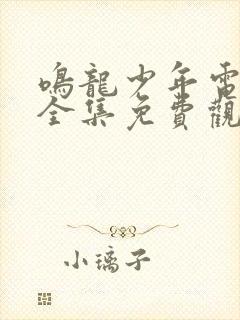 鸣龙少年电视剧全集免费观看下载