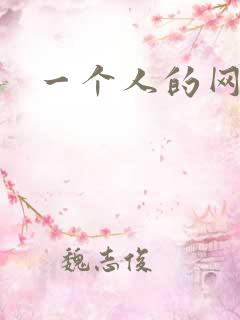 一个人的网游