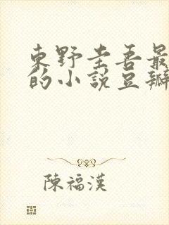 东野圭吾最好看的小说豆瓣