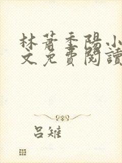 林萧季阳小说全文免费阅读