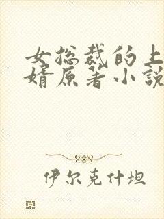 女总裁的上门女婿原著小说