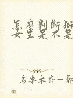 怎么判断狮子座女生是不是喜欢你