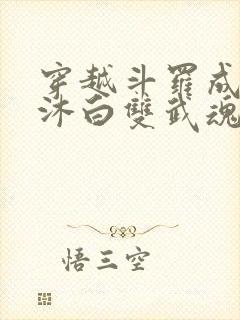 穿越斗罗成为戴沐白双武魂的小说