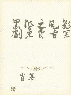 黑狐之风影电视剧免费看完整版