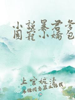 小说暴君爹爹的团宠小娇包最新章节