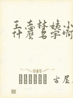 王志林姨小说叫什么名字啊