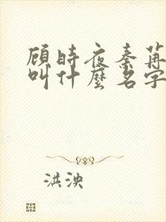 顾时夜秦苒小说叫什么名字