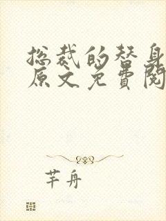 总裁的替身前妻原文免费阅读