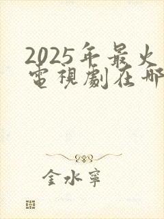 2025年最火电视剧在哪看