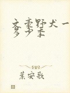 文豪野犬一共有多少季