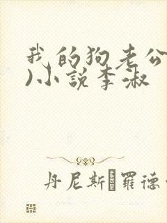 我的狗老公(七)小说李淑