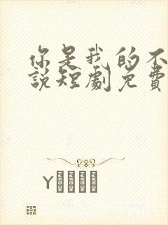 你是我的不可言说短剧免费在线观看