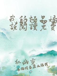 我的极品娇妻小说阅读免费