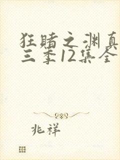 狂赌之渊真人版三季12集全