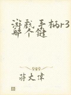 游戏手柄r3是哪个键