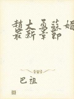 赵大勇苏媚小说最新章节