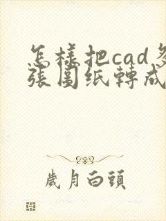 怎样把cad多张图纸转成一个pdf