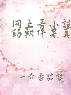 网上看小说赚钱的软件是真的吗