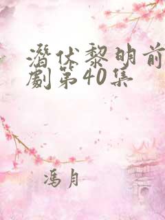 潜伏黎明前电视剧第40集