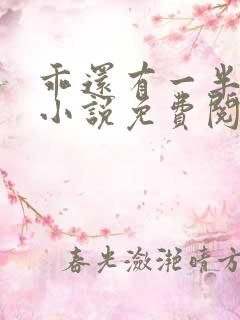 乖还有一半外面小说免费阅读