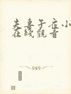 夫妻午夜小视频在线观看