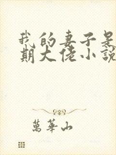 我的妻子是大乘期大佬小说完整免费