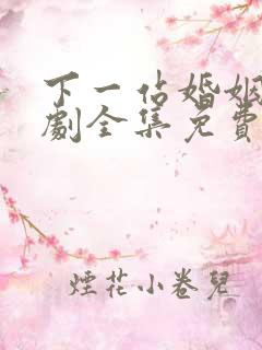 下一站婚姻连续剧全集免费观看